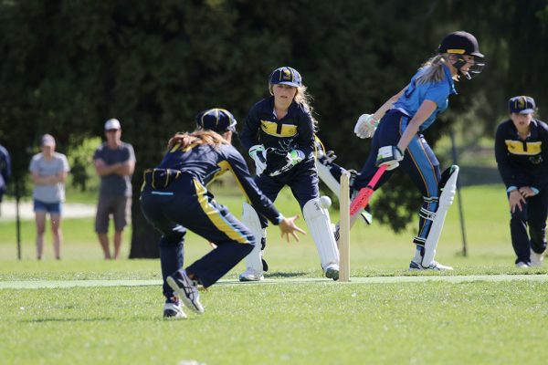 -022--Cricket-Girls-v-TGS-ODT--094