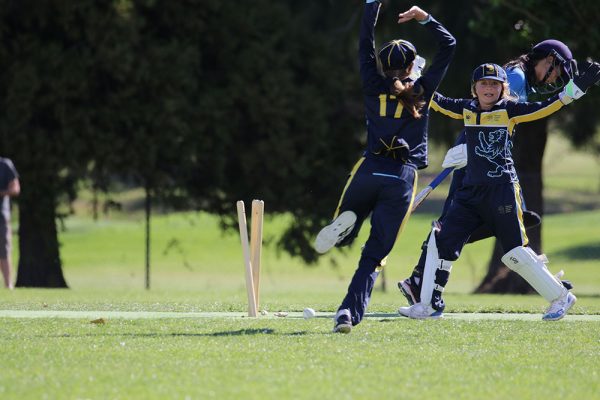-022--Cricket-Girls-v-TGS-ODT--098