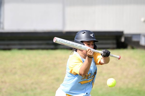 -022--Softball-Girls-v-Avondale---008