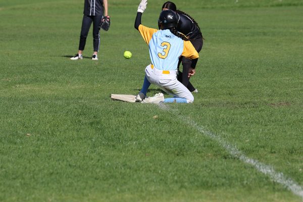 -022--Softball-Girls-v-Avondale---028