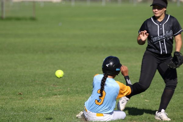 -022--Softball-Girls-v-Avondale---036