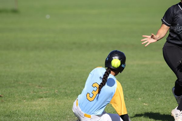 -022--Softball-Girls-v-Avondale---037