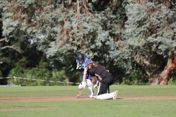 2023--Cricket-Girls-v-Baradene----027
