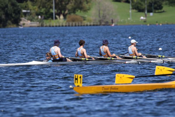 2023--Rowing--Head-of-Harbour---092