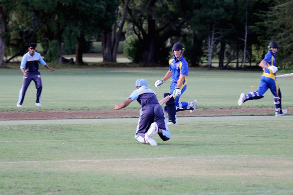 2024---Cricket-Boys-v-St-Peters--027