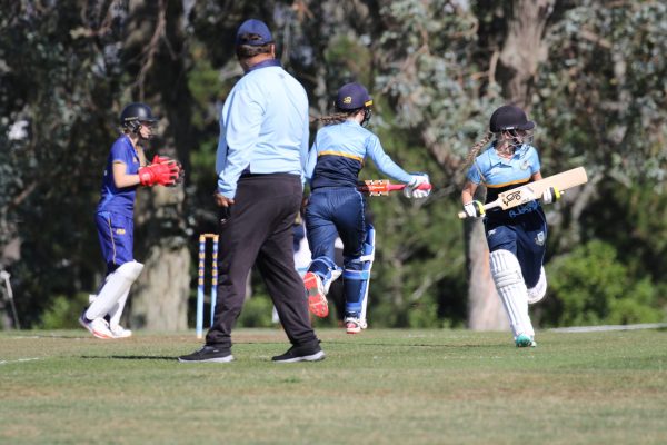 2024 - Cricket Girls -020