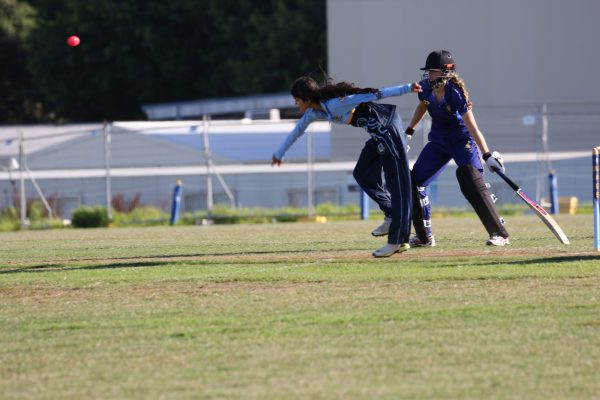 2024 - Cricket Girls -047