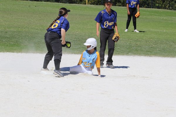 2024---Softball--Girls-NZSS-v-Epsom-Girls-Grammar-011