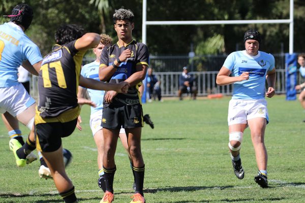 2024---Rugby-1XV-v-Whangarei-Boys-----091