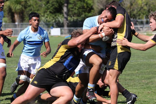 2024---Rugby-1XV-v-Whangarei-Boys-----120
