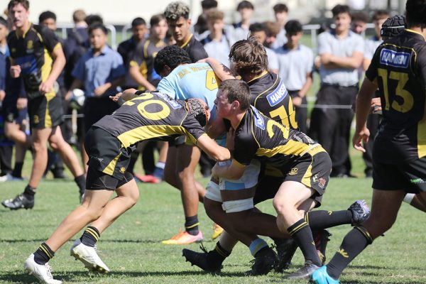 2024---Rugby-1XV-v-Whangarei-Boys-----137